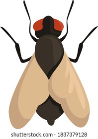 Flying fly, illustration, vector on white background