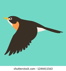  flying flycatcher ,vector illustration , flat style