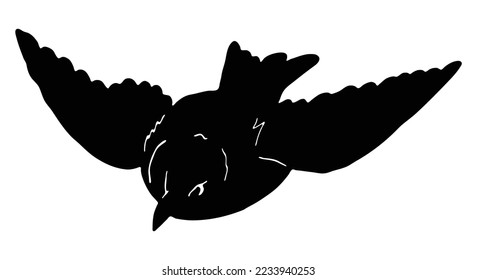 flying fowl bird vector logo illustration. folw with open wings icon