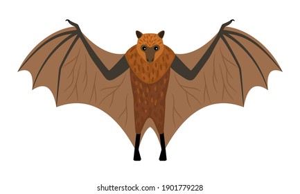 Flying fox. Cartoon exotic night animal, intimidating creature, symbol of fear, vector illustration of horror character isolated on white background