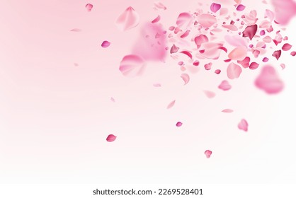 Flying fragile pink and white sakura petals. Symbol of Japanese culture.