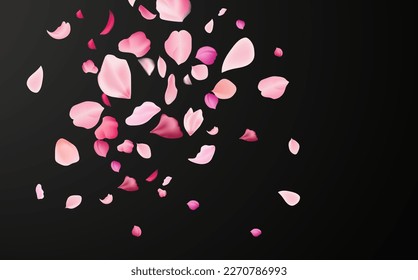 Flying fragile pink and white sakura petals. Symbol of Japanese culture.