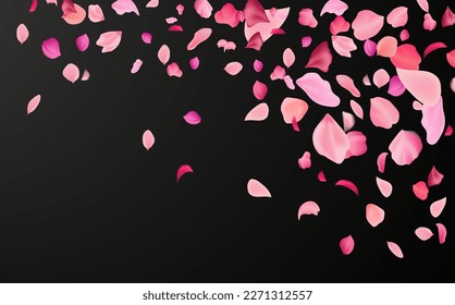 Flying fragile pink and white sakura petals. Symbol of Japanese culture.