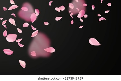 Flying fragile pink and white sakura petals. Symbol of Japanese culture.