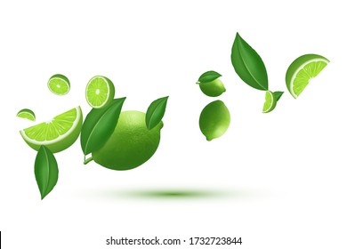 Flying fresh limes and lime slices with leaves. Vector realistic illustration