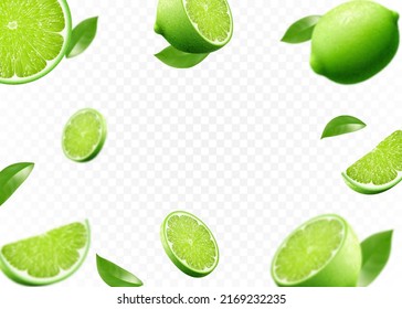 Flying fresh limes and lime slices with leaves. with blur effect. Vector 3d realistic illustration isolated on white background.