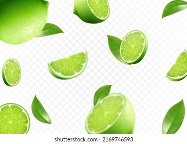 Flying fresh limes and lime slices with leaves. with blur effect. Vector 3d realistic illustration isolated on white background.