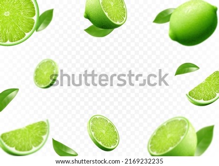 Flying fresh limes and lime slices with leaves. with blur effect. Vector 3d realistic illustration isolated on white background.
