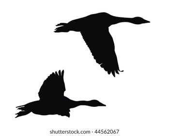 Flying geese
