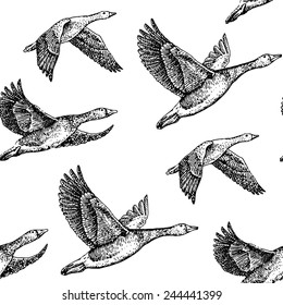 flying geese. Hand drawn illustration vintage pattern