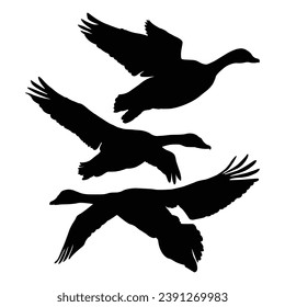 Flying Geese Silhouette on White Canvas.