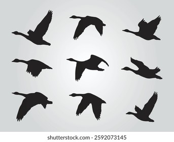 flying geese with white background free vector