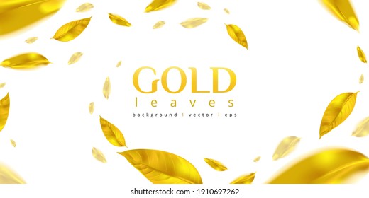 Flying gold leaves effect with mild sunbeam in 3d illustration vector