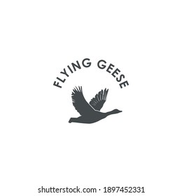 Flying goose geese logo design inspiration