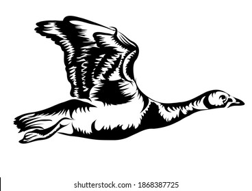 Flying Goose Isolated On White Background