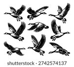 Flying Goose Silhouette Vector, Wildlife Bird	