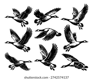 Flying Goose Silhouette Vector, Wildlife Bird	