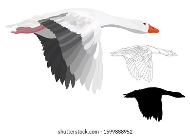 Flying Goose. Vector image. White background. 