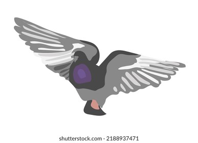 Flying gray dove isolated on white background Grey bird in front view with open wings Vector illustration in flat cartoon style Hand drawn icon