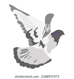 Flying gray dove isolated on white background Grey bird in view from the back Vector illustration in flat cartoon style Hand drawn icon