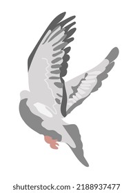 Flying gray dove isolated on white background Grey bird in side back view Vector illustration in flat cartoon style Hand drawn clipart