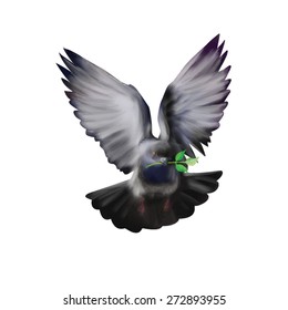 flying gray dove with olive branch vector