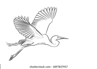 Flying great egret. Line drawing. Black and white illustration. Vector.