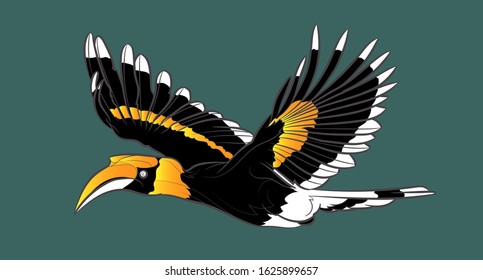 Flying Great Hornbill. Vector Illustration.