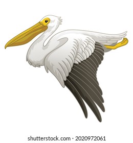 Flying Great white pelican in hand drawn style