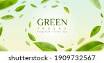 Flying green leaves effect with mild sunbeam in 3d illustration vector