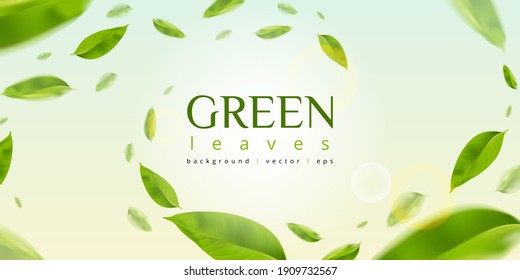 Эффект летающих зеленых листьев с мягким солнечным лучом в векторе 3d иллюстрации