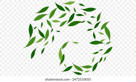 Flying green leaves element decoration freshening in nature background. botanical vector spring time