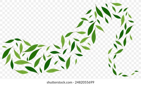 Flying green leaves element decoration freshening in nature background. botanical vector, ecology