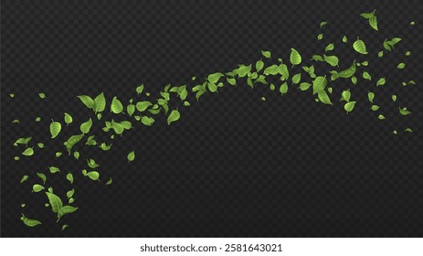Flying green leaves. Foliage and swirl of leaf. Wind stream. Ecology and environment. Flora and wildlife. Realistic vector illustration isolated on transparent background