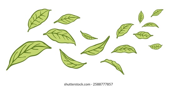 Flying green leaves hand-drawn in cartoon style isolated on a white background. Nature and botanical theme. 