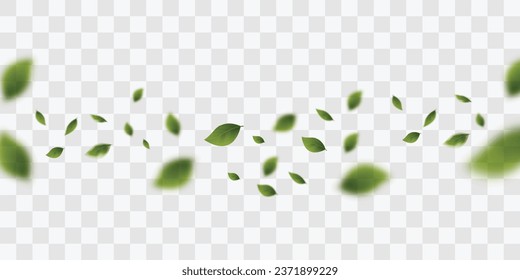 Flying green leaves. Green leaves on a transparent background. Vegan, eco, organic leaves set for design. Cosmetic pattern. Tea background. Beauty and nutrition product. Vector illustration.