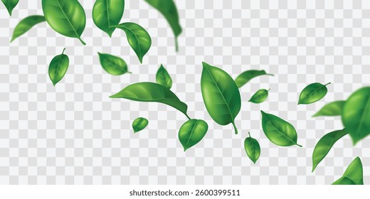Flying green leaves on transparent background - realistic 3d illustration of scattered foliage elements. Detailed leaf texture with blur effect. Decorative botanical vector design. Floating foliage.