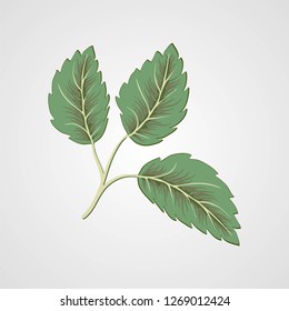 Flying green leaves on white background. Fresh spring foliage. Vector illustration. Environment and ecology backdrop