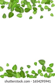 Flying green leaves on white background. Spring leaf vertical pattern on isolated backdrop. Fall fresh leaves plant. Vector illustration closeup