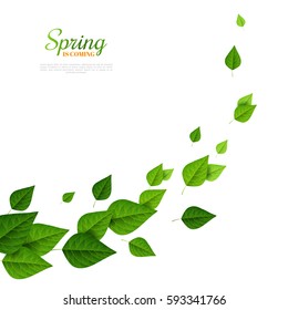 Flying green leaves on white background. Fresh spring foliage. Vector illustration. Environment and ecology backdrop