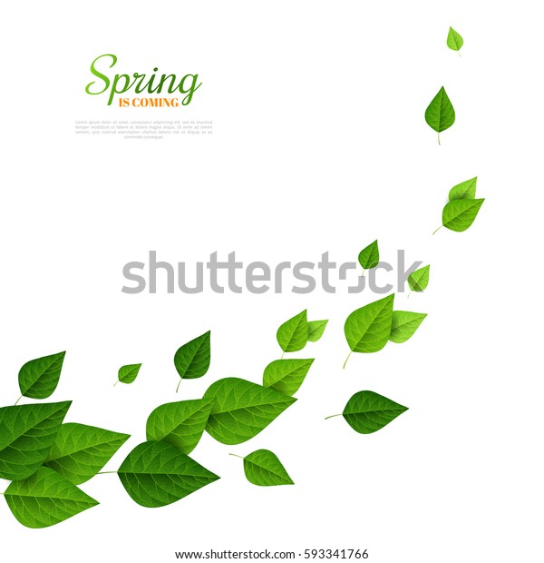 Vetor Stock De Folhas Verdes Voando No Fundo Branco Livre De Direitos 593341766