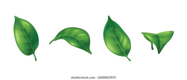 Flying green leaves set isolated on white background. Vector realistic illustration of mint, tea, summer tree leaf in fresh wind, spring nature foliage whirlwind, herbal drink or medicine symbol