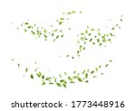 Flying green leaves. Set of waves formed by green leaves