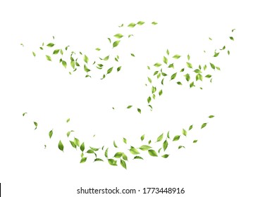 Flying green leaves. Set of waves formed by green leaves - Shutterstock ID 1773448916