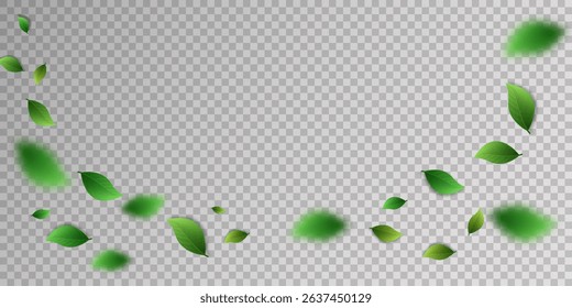 Flying green leaves.Fresh summer plant pattern.Vector illustration.On a transparent background.