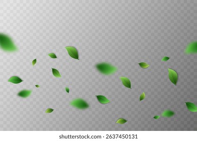 Flying green leaves.Fresh summer plant pattern.Vector illustration.On a transparent background.