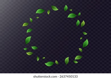 Flying green leaves.Fresh summer plant pattern.Vector illustration.On a transparent background.