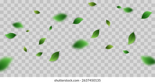 Flying green leaves.Fresh summer plant pattern.Vector illustration.On a transparent background.