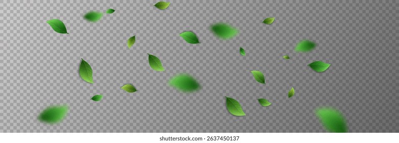 Flying green leaves.Fresh summer plant pattern.Vector illustration.On a transparent background.