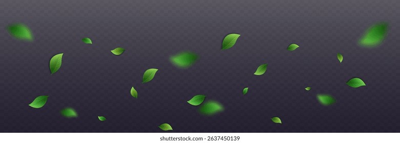 Flying green leaves.Fresh summer plant pattern.Vector illustration.On a transparent background.